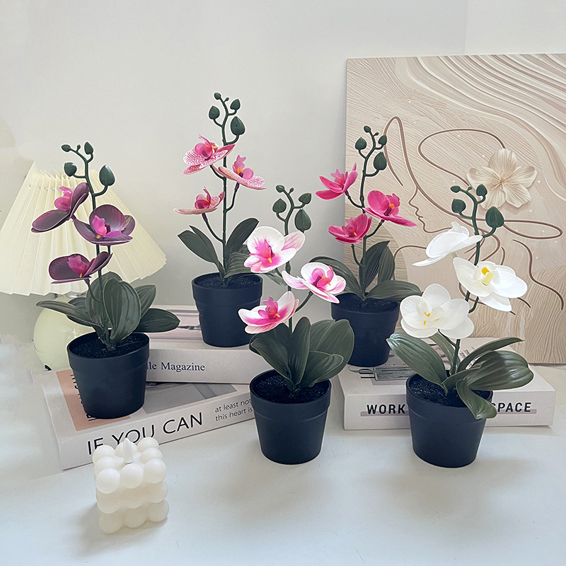軽量高級黒粘土鉢、蝶蘭模造品、屋内結婚式撮影、造花3本、緑の - Photography Lighting Simulation のレビューと価格